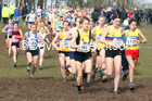 Senior women, 2020 British Athletics Inter Counties Cross Country Champs., Prestwold Hall, Loughborough. Photo: David T. Hewitson/Sports for All Pics